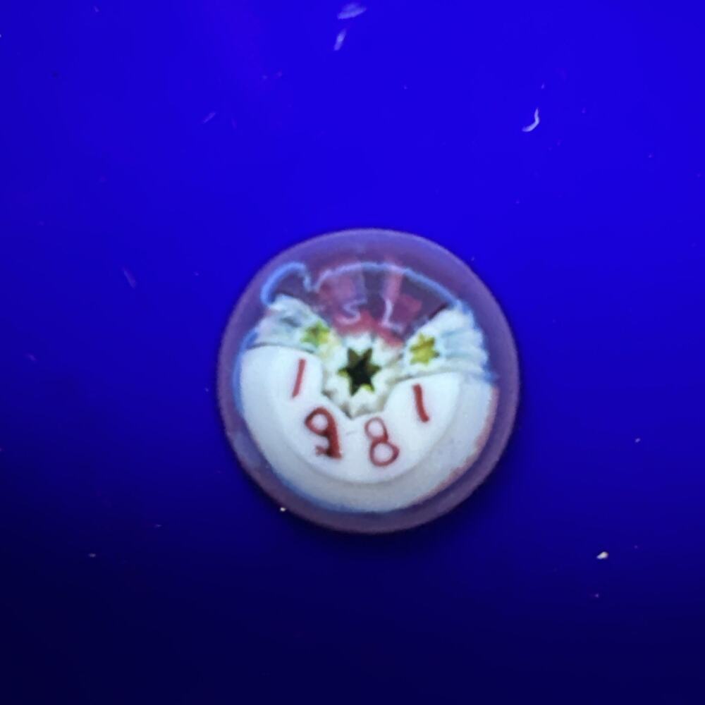 VTG St. Louis 1981 Mille Fiori Paperweight Iran Hostages 444 Days Collectible - Picture 7 of 10